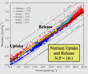 thumbnail of dbpedia resource