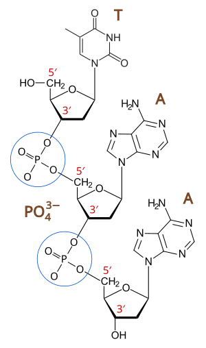 thumbnail of dbpedia resource