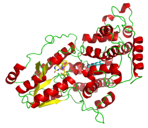 thumbnail of dbpedia resource