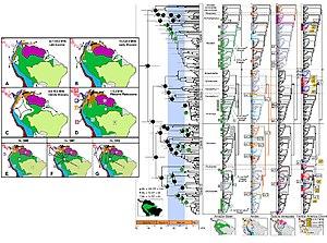 thumbnail of dbpedia resource