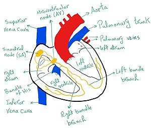 thumbnail of dbpedia resource