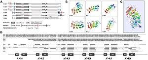 thumbnail of dbpedia resource