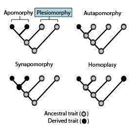 thumbnail of dbpedia resource