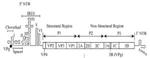 thumbnail of dbpedia resource