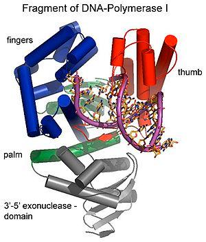 thumbnail of dbpedia resource