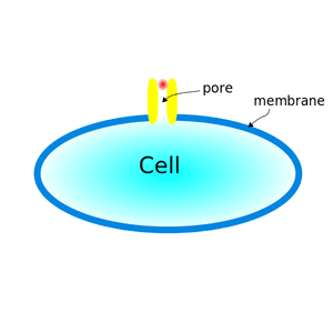 thumbnail of dbpedia resource