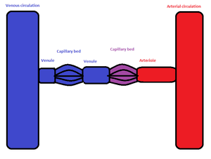 thumbnail of dbpedia resource