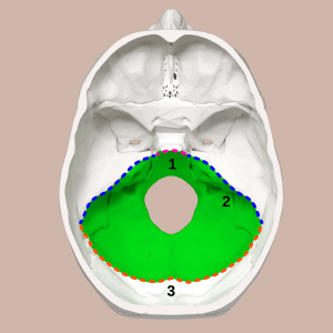 thumbnail of dbpedia resource