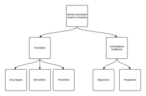 thumbnail of dbpedia resource