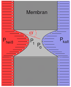 thumbnail of dbpedia resource