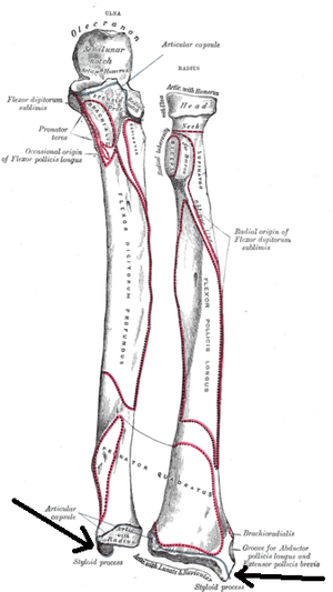 thumbnail of dbpedia resource