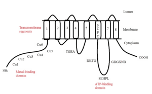 thumbnail of dbpedia resource