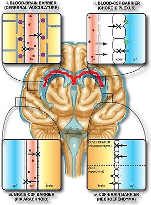 thumbnail of dbpedia resource