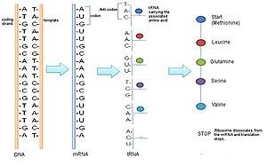 thumbnail of dbpedia resource