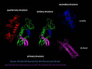 thumbnail of dbpedia resource