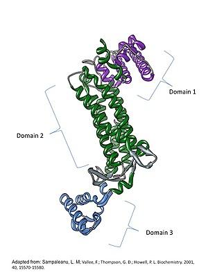 thumbnail of dbpedia resource