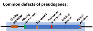 thumbnail of dbpedia resource