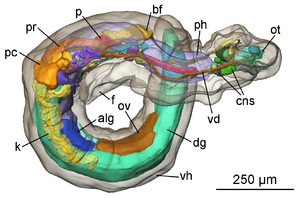 thumbnail of dbpedia resource