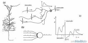 thumbnail of dbpedia resource