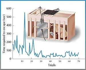 thumbnail of dbpedia resource