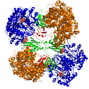 thumbnail of dbpedia resource