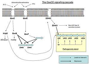 thumbnail of dbpedia resource