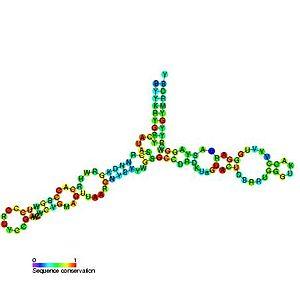 thumbnail of dbpedia resource