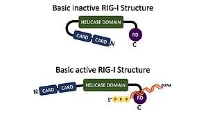 thumbnail of dbpedia resource