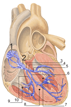 thumbnail of dbpedia resource