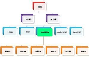 thumbnail of dbpedia resource