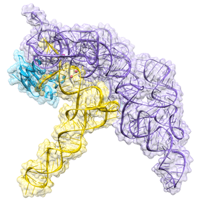 thumbnail of dbpedia resource