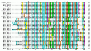 thumbnail of dbpedia resource