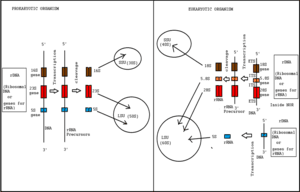 thumbnail of dbpedia resource