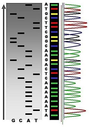 thumbnail of dbpedia resource