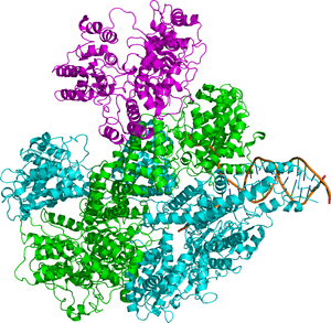 thumbnail of dbpedia resource