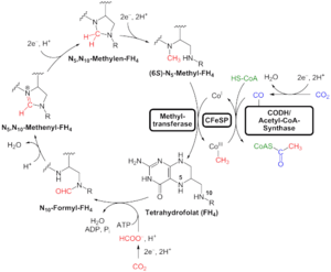 thumbnail of dbpedia resource