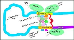 thumbnail of dbpedia resource