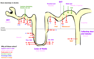 thumbnail of dbpedia resource