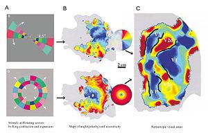 thumbnail of dbpedia resource