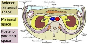 thumbnail of dbpedia resource