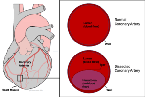 thumbnail of dbpedia resource