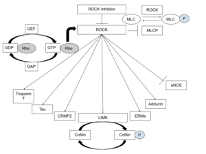 thumbnail of dbpedia resource