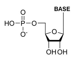 thumbnail of dbpedia resource