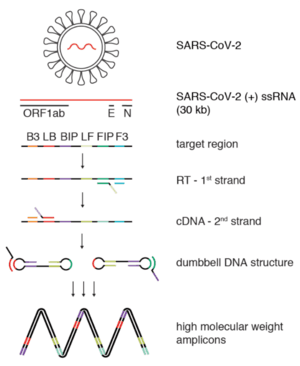 thumbnail of dbpedia resource