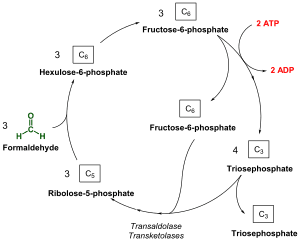 thumbnail of dbpedia resource