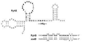 thumbnail of dbpedia resource