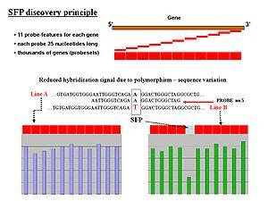 thumbnail of dbpedia resource