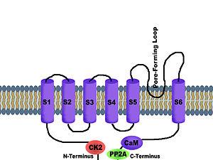 thumbnail of dbpedia resource