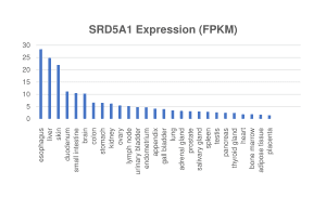 thumbnail of dbpedia resource