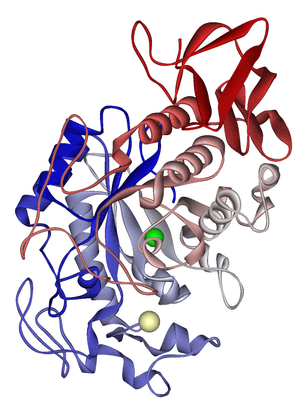 thumbnail of dbpedia resource